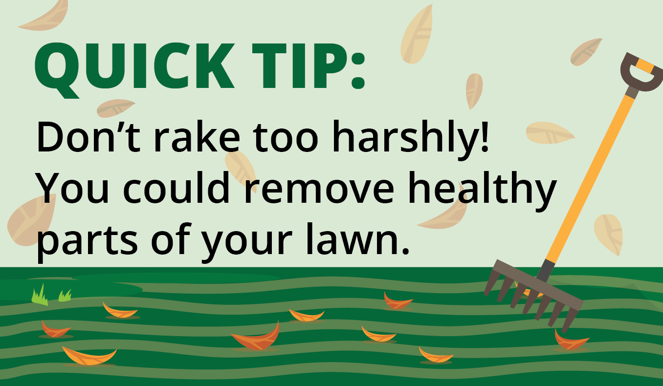 raking tip graphic