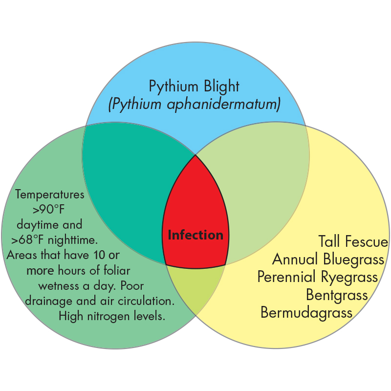 Diagram Image