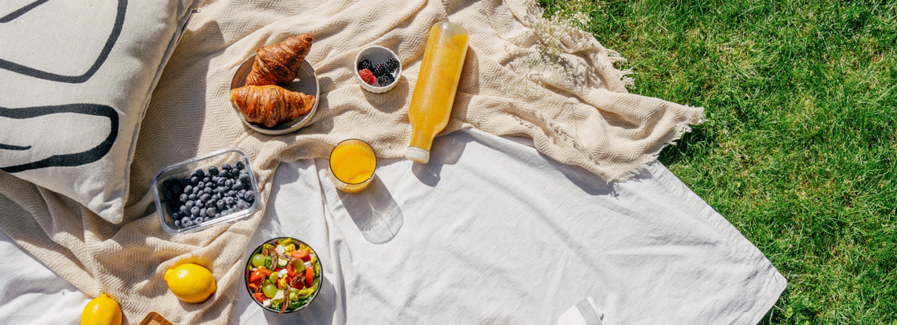 Overhead image of a spring breakfast picnic on a lawn 