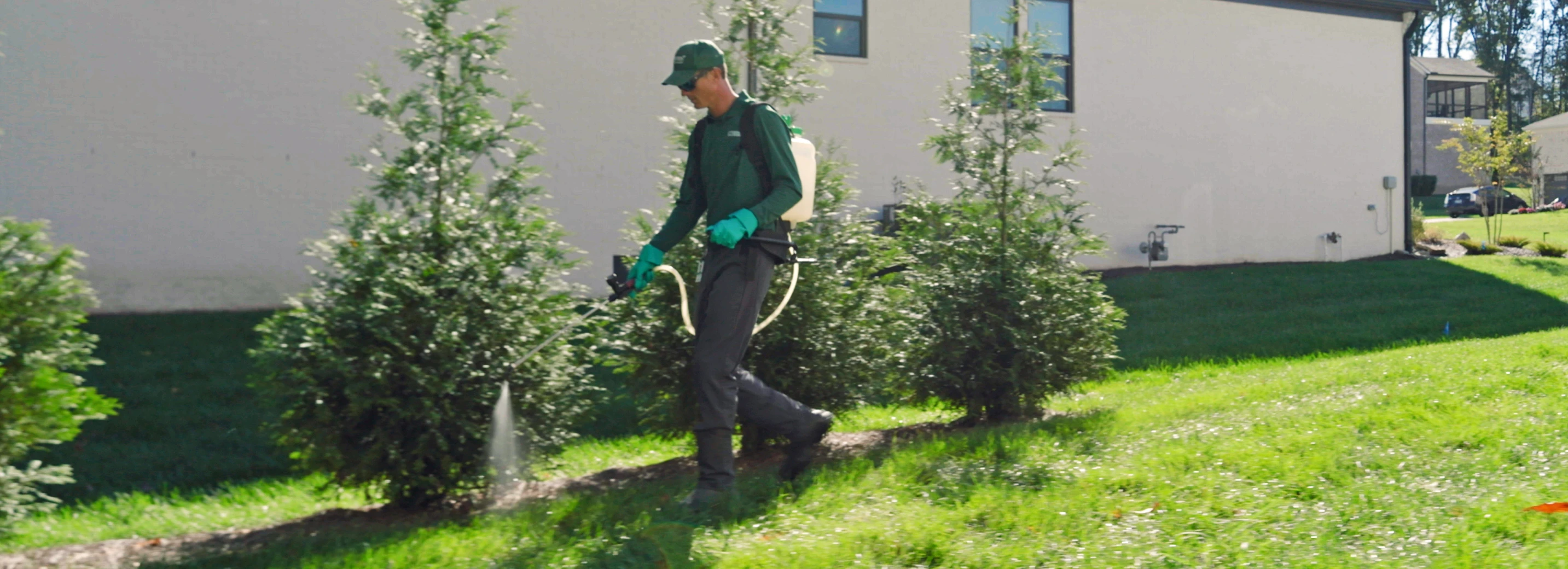 TruGreen specialist treating landscaping