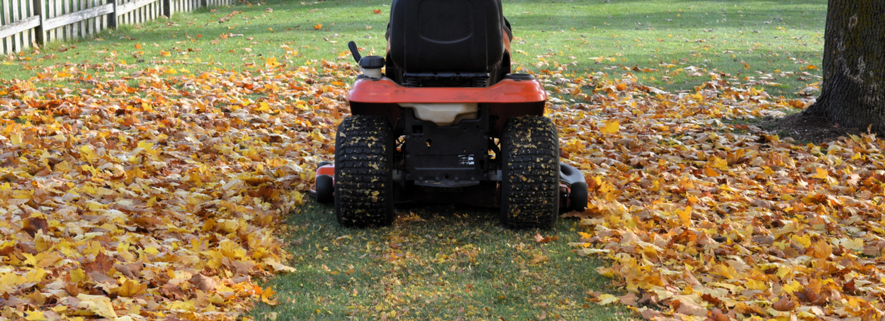 Close-up of back of lawn mower mowing leaves