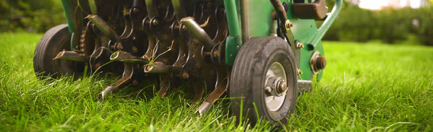 7 Benefits of Lawn Aeration: Why You Should Core Aerate Your Lawn Image