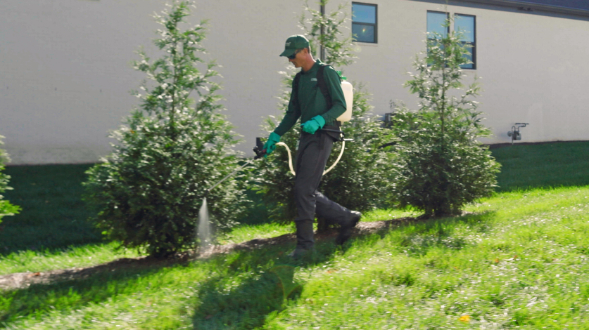 TruGreen specialist treating landscaping