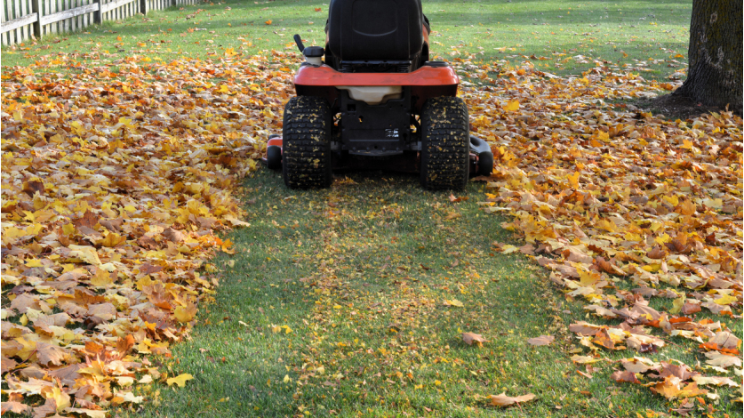 Close-up of back of lawn mower mowing leaves