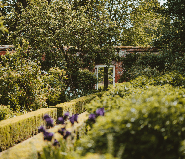 home with beautiful landscaping 