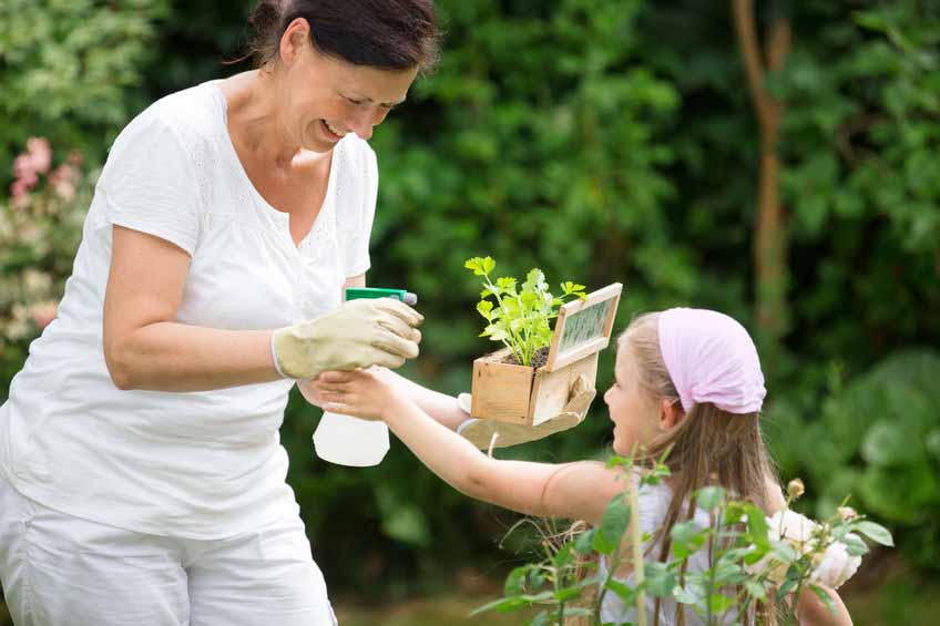 Grandmother and granddaughter planting herbs