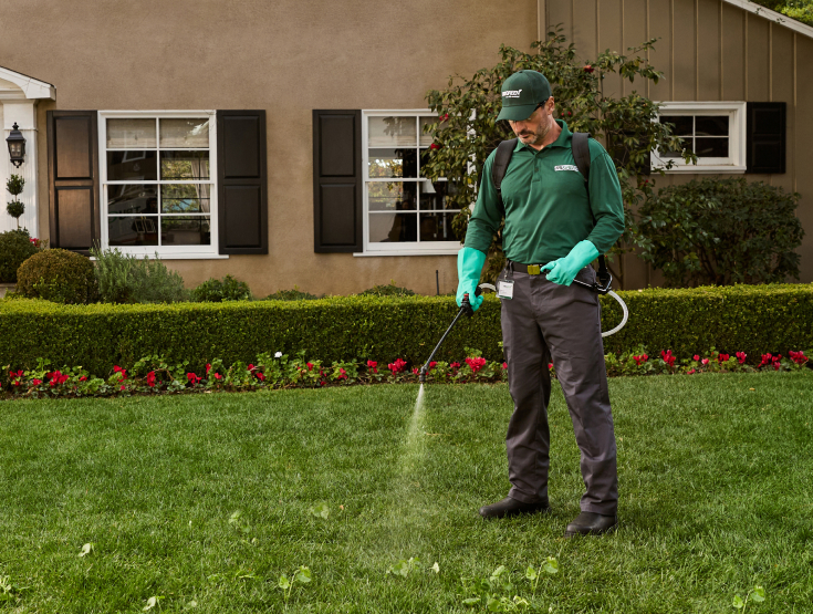 TruGreen specialist spraying weed control treatment on a lawn