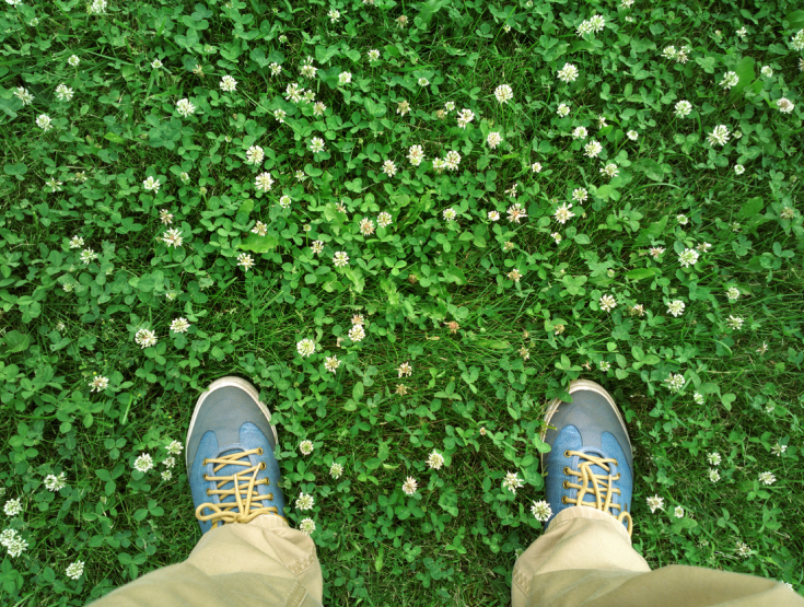 Overhead angle of someone standing in a lawn filled with clover