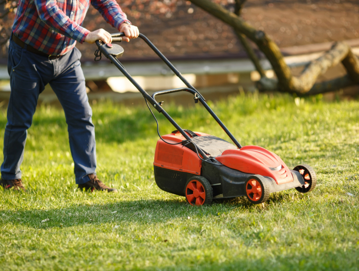 Someone mowing a lawn with a push mower