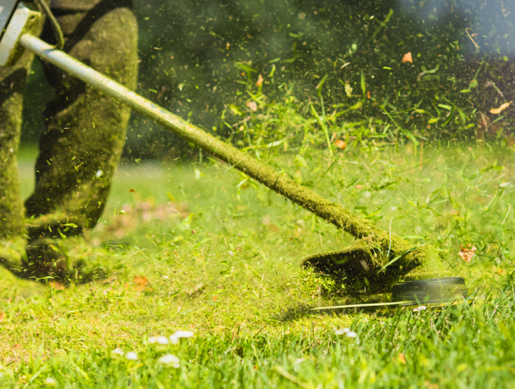 Someone weed eating or edging a lawn while doing landscaping
