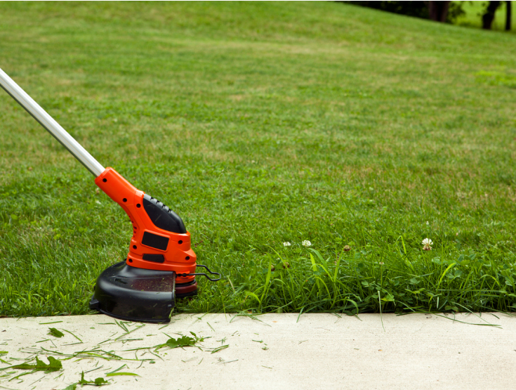 Close-up of a weed eater edging and potentially spreading weeds