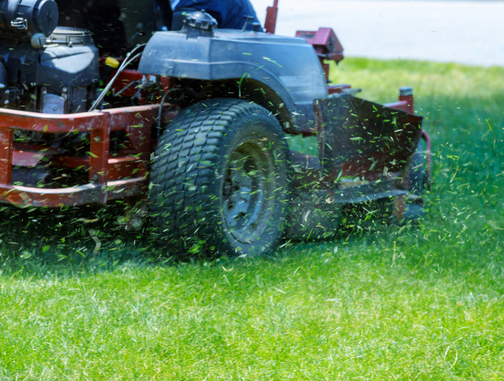Close-up of a lawn mower spreading weeds on a lawn