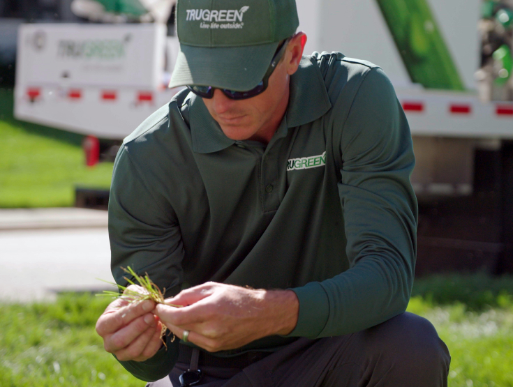 TruGreen specialist examining a lawn for weeds