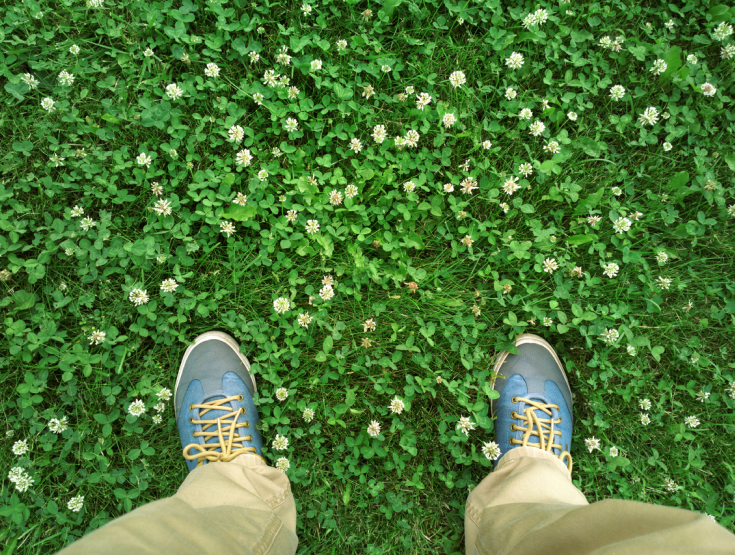 Overhead shot of someone standing in a lawn full of weeds