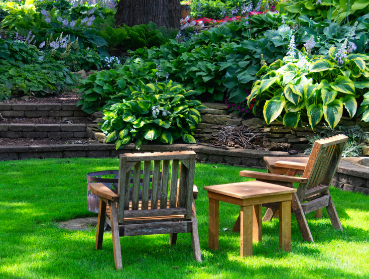 Inviting chairs bathed in sun on a lawn surrounded by lush greenery