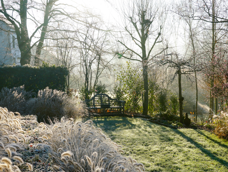 A bench overlooking a lawn with winter trees in the background and frost-covered shrubs