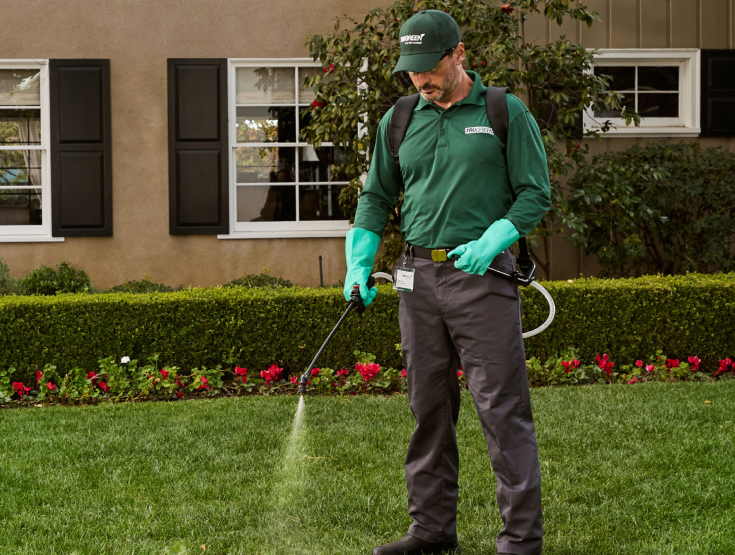 TruGreen specialist spraying weeds on a lawn