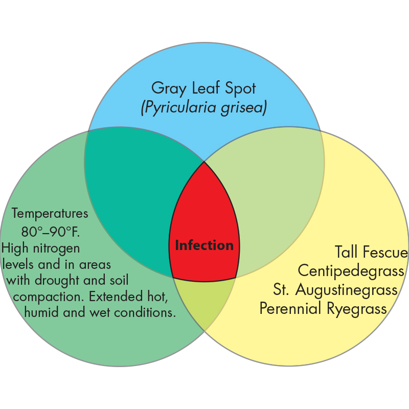 Diagram Image