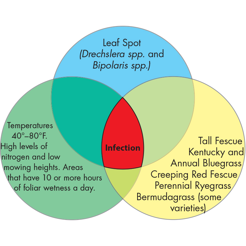 Diagram Image