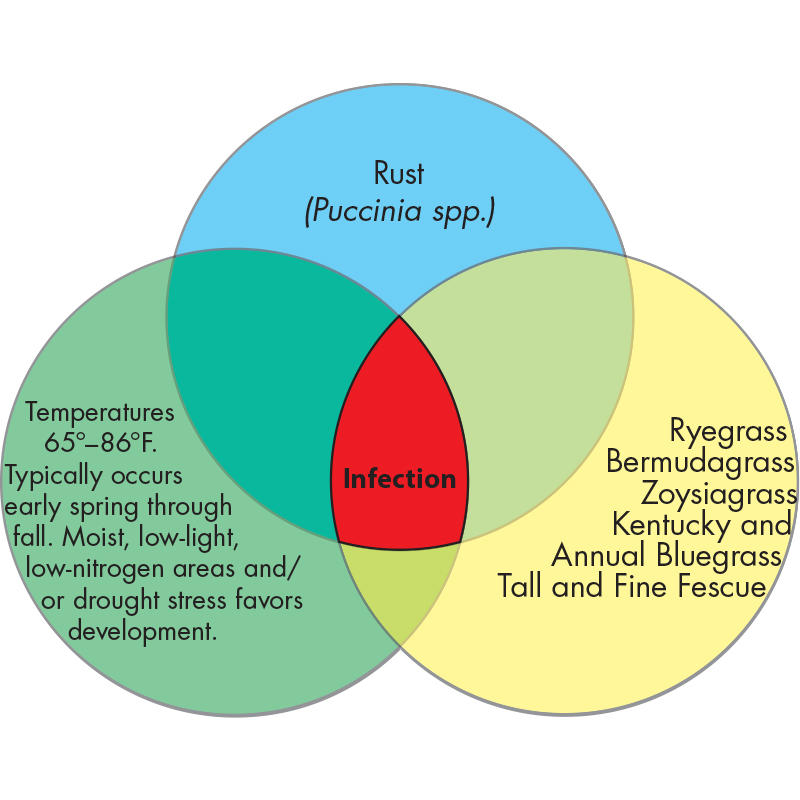 Diagram Image