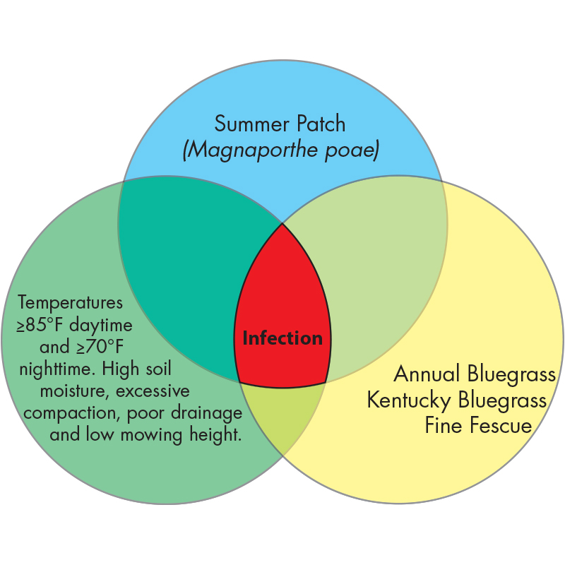 Diagram Image