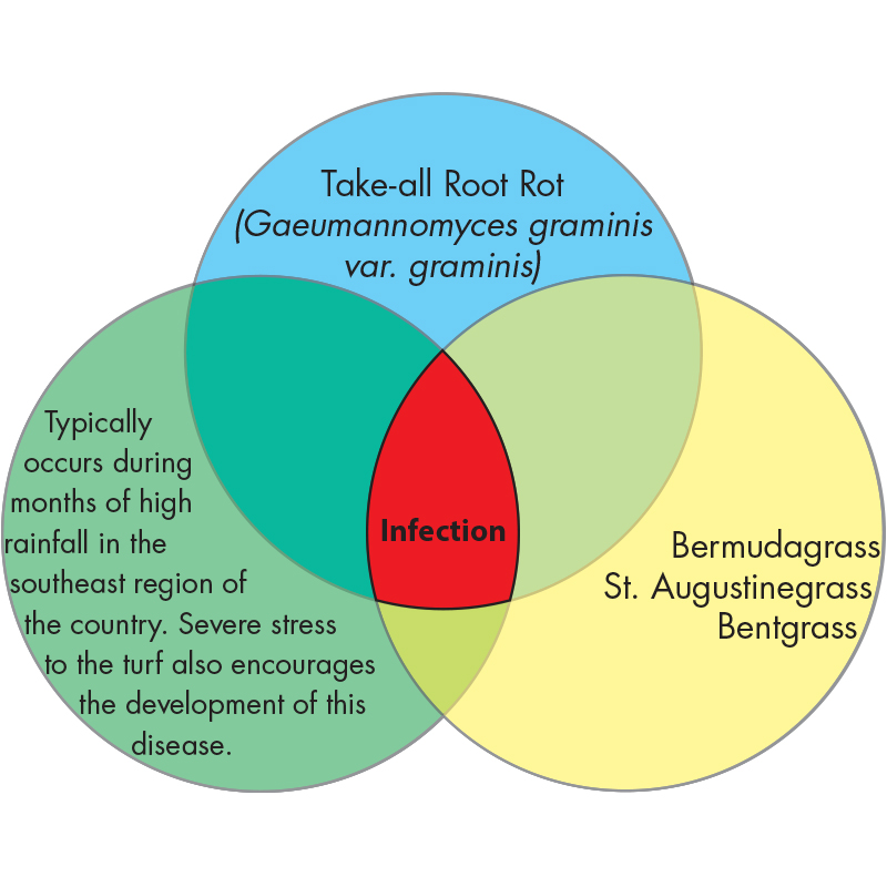 Diagram Image