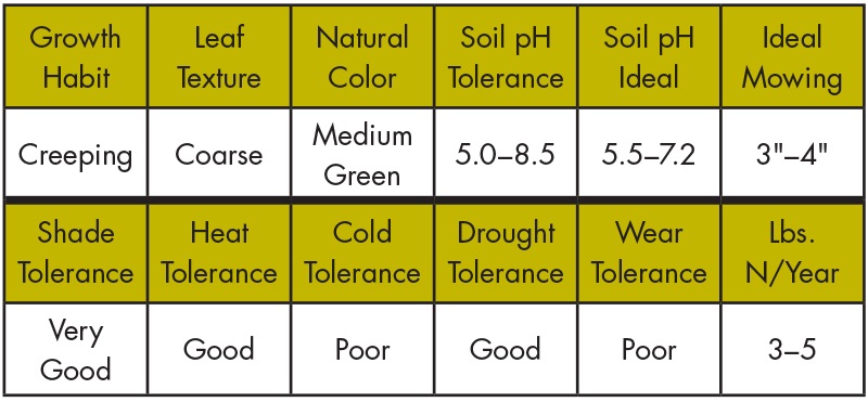 Characteristics Image